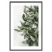 Poster Christmas Holly - plant related to Christmas 137973 additionalThumb 3