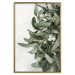 Poster Christmas Holly - plant related to Christmas 137973 additionalThumb 4