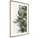 Poster Christmas Holly - plant related to Christmas 137973 additionalThumb 14