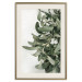 Poster Christmas Holly - plant related to Christmas 137973 additionalThumb 2