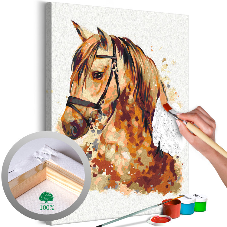 Paint by Number Kit Horse Portrait - Animal With a Beautiful Mane on a Gray Background 148873