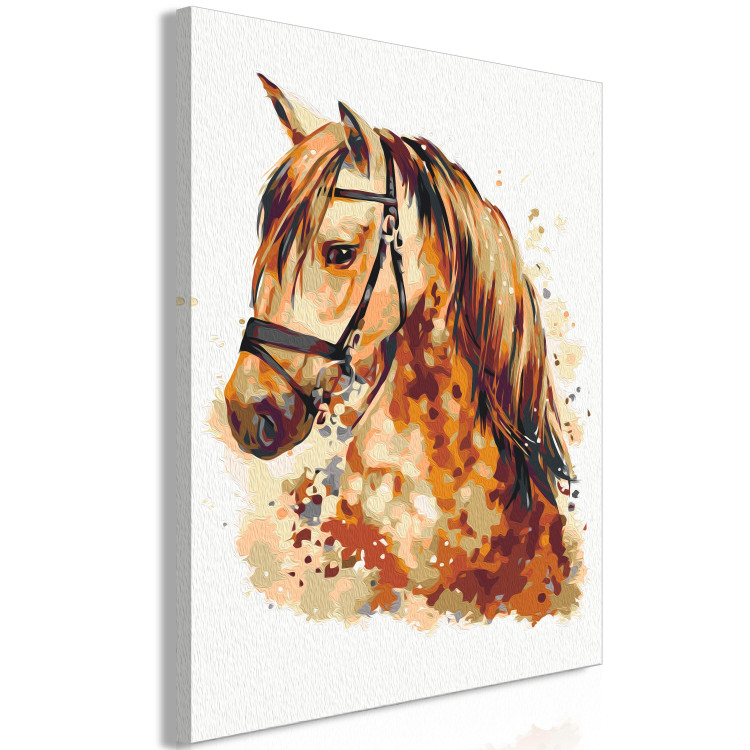 Paint by Number Kit Horse Portrait - Animal With a Beautiful Mane on a Gray Background 148873 additionalImage 6