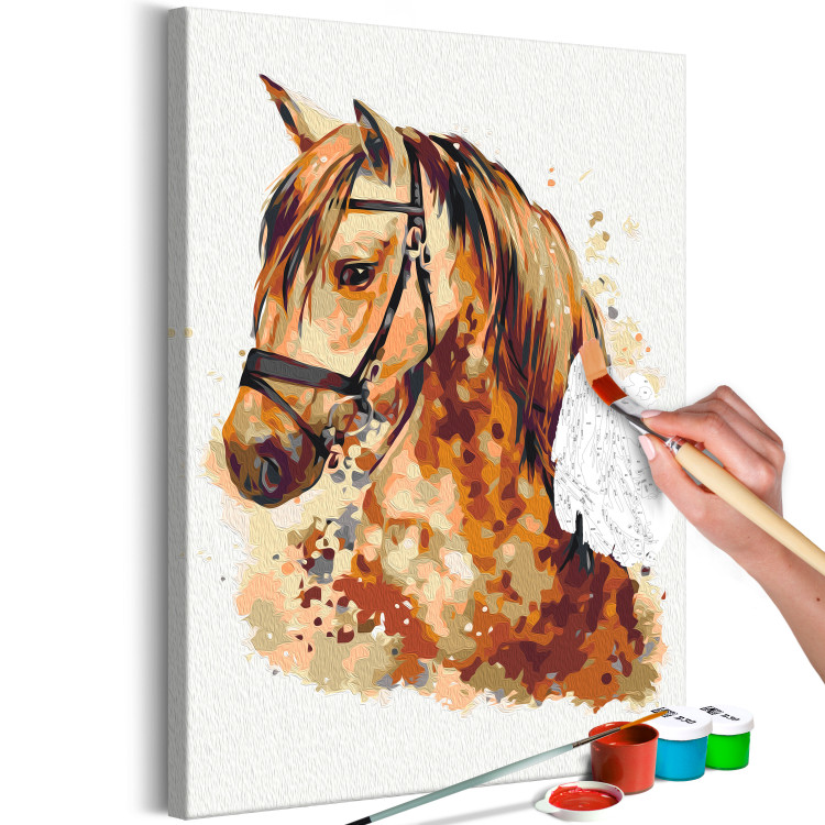 Paint by Number Kit Horse Portrait - Animal With a Beautiful Mane on a Gray Background 148873 additionalImage 5