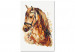 Paint by Number Kit Horse Portrait - Animal With a Beautiful Mane on a Gray Background 148873 additionalThumb 4