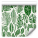 Wallpaper Green Nature - Different Species and Sizes of Leaves on a White Background 149873 additionalThumb 6
