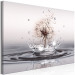 Canvas Print Wind Drops (1 Part) Wide 149973 additionalThumb 2