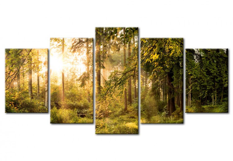 Canvas Art Print Magic of Forest 91573