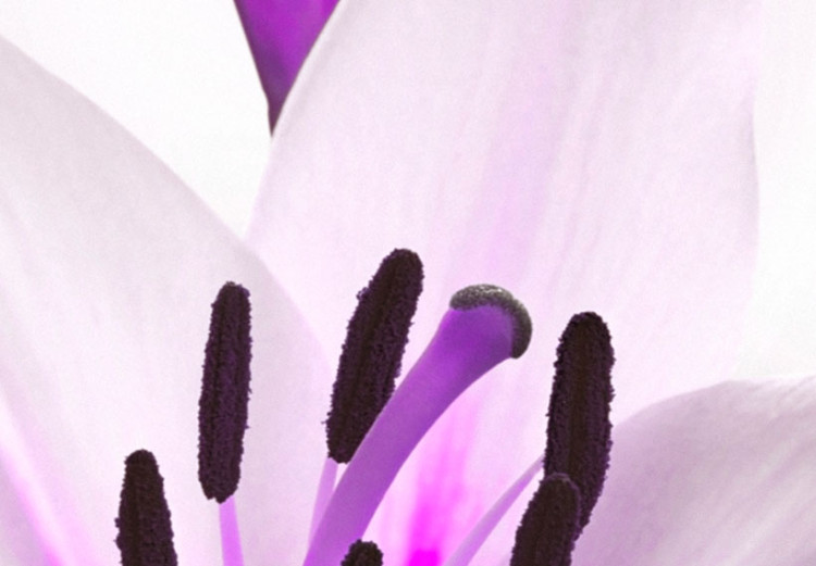 Print On Glass Violet Desert Lily [Glass] 92373 additionalImage 5