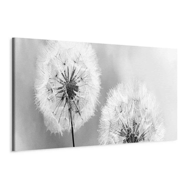 Canvas Print Summer Memories (1-piece) - Black and White Romantic Dandelions 106183 additionalImage 2