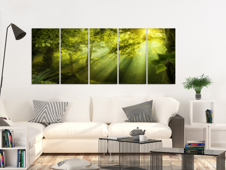 Canvas Print In the Sunlight (5-part) Narrow - Enchanting Green Forest Landscape 108083 additionalImage 3