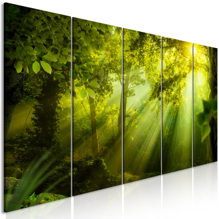 Canvas Print In the Sunlight (5-part) Narrow - Enchanting Green Forest Landscape 108083 additionalImage 2