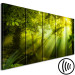 Canvas Print In the Sunlight (5-part) Narrow - Enchanting Green Forest Landscape 108083 additionalThumb 6