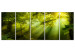 Canvas Print In the Sunlight (5-part) Narrow - Enchanting Green Forest Landscape 108083