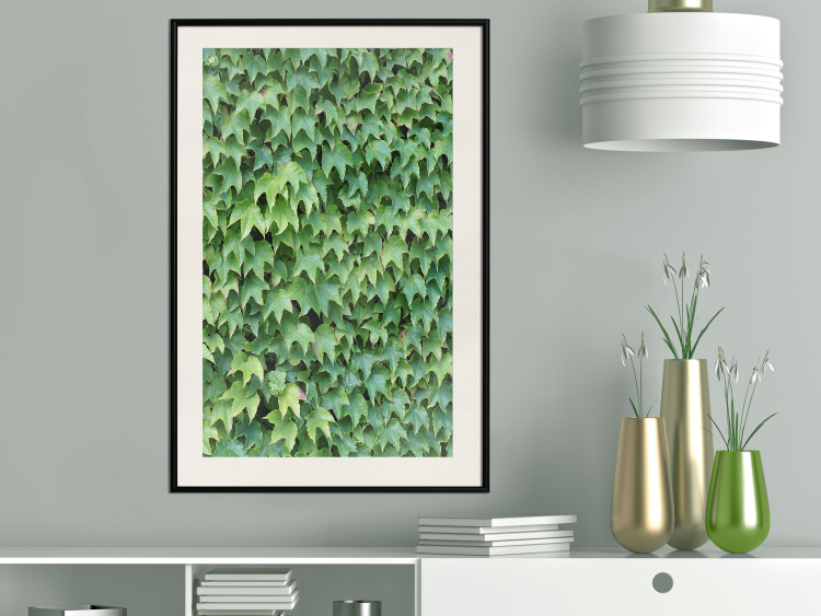 Poster Dense Ivy - botanical composition filled with green leaves 121883 additionalImage 22