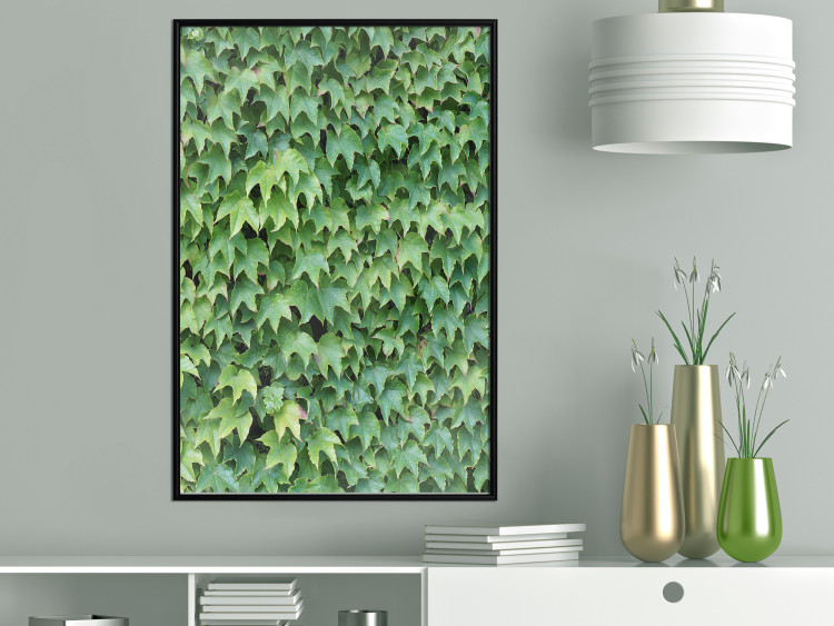 Poster Dense Ivy - botanical composition filled with green leaves 121883 additionalImage 3