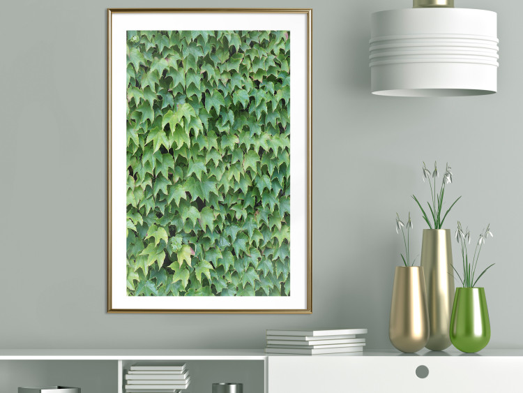 Poster Dense Ivy - botanical composition filled with green leaves 121883 additionalImage 15