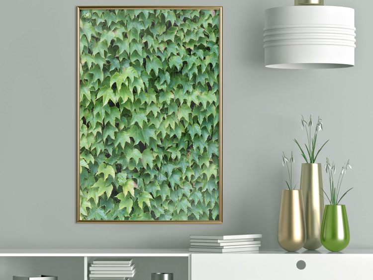 Poster Dense Ivy - botanical composition filled with green leaves 121883 additionalImage 5
