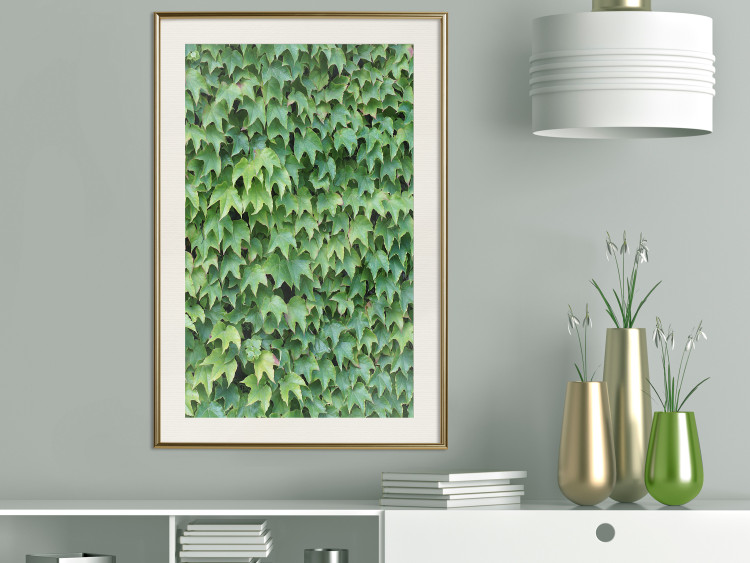 Poster Dense Ivy - botanical composition filled with green leaves 121883 additionalImage 21