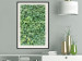 Poster Dense Ivy - botanical composition filled with green leaves 121883 additionalThumb 22