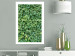 Poster Dense Ivy - botanical composition filled with green leaves 121883 additionalThumb 4