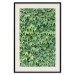 Poster Dense Ivy - botanical composition filled with green leaves 121883 additionalThumb 18