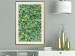 Poster Dense Ivy - botanical composition filled with green leaves 121883 additionalThumb 21