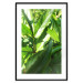 Poster Summer Afternoon - landscape of green leaves in the summer sun on a meadow 122683 additionalThumb 15