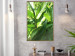 Poster Summer Afternoon - landscape of green leaves in the summer sun on a meadow 122683 additionalThumb 7