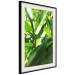 Poster Summer Afternoon - landscape of green leaves in the summer sun on a meadow 122683 additionalThumb 3