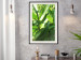 Poster Summer Afternoon - landscape of green leaves in the summer sun on a meadow 122683 additionalThumb 22