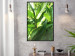 Poster Summer Afternoon - landscape of green leaves in the summer sun on a meadow 122683 additionalThumb 5
