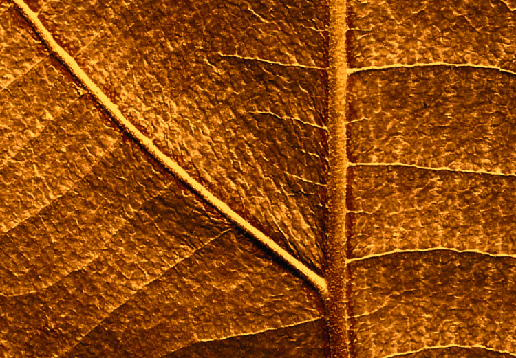Canvas Art Print Leaf nerve - a golden colour photograph with a botanical motif 123783 additionalImage 5