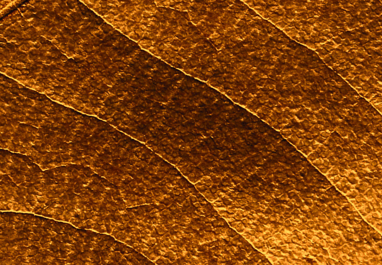 Canvas Art Print Leaf nerve - a golden colour photograph with a botanical motif 123783 additionalImage 4