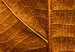 Canvas Art Print Leaf nerve - a golden colour photograph with a botanical motif 123783 additionalThumb 5