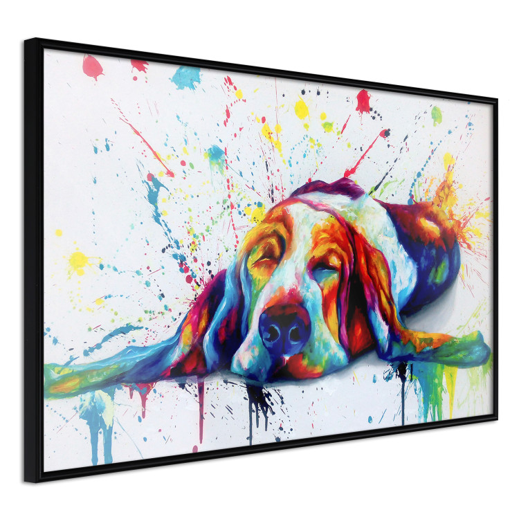Poster Sleeping Dog - colorful animal on a white background in an abstract style 126983 additionalImage 11