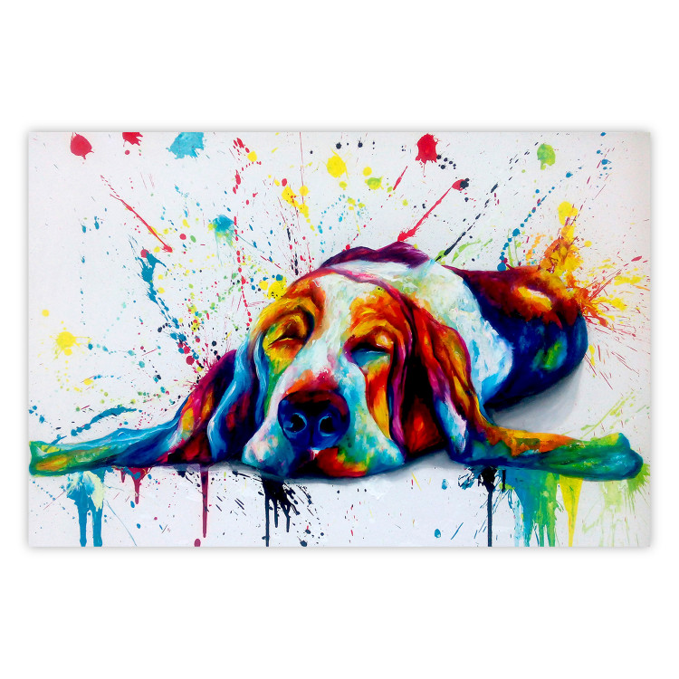 Poster Sleeping Dog - colorful animal on a white background in an abstract style 126983