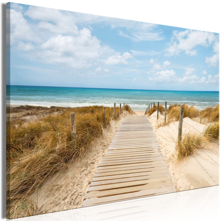 Large canvas print Windy Beach [Large Format] 128683 additionalImage 2
