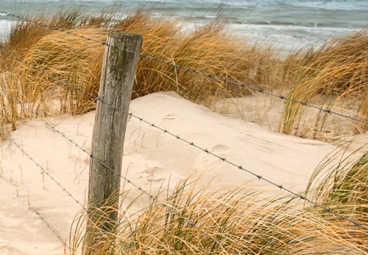 Large canvas print Windy Beach [Large Format] 128683 additionalImage 3