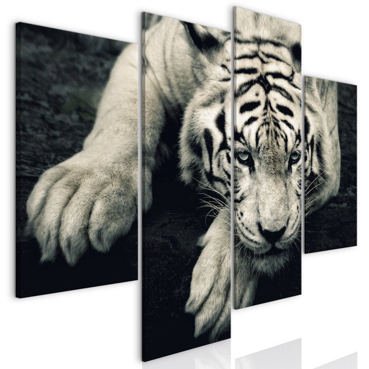 Canvas Art Print Calm tiger - a four-piece composition with a lying tiger 128783 additionalImage 2