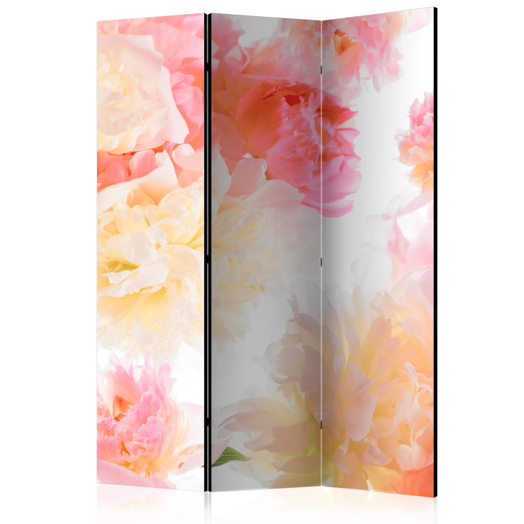 Room Divider Screen Pastel Peonies - bouquet of pink and yellow flowers on a white background 133783