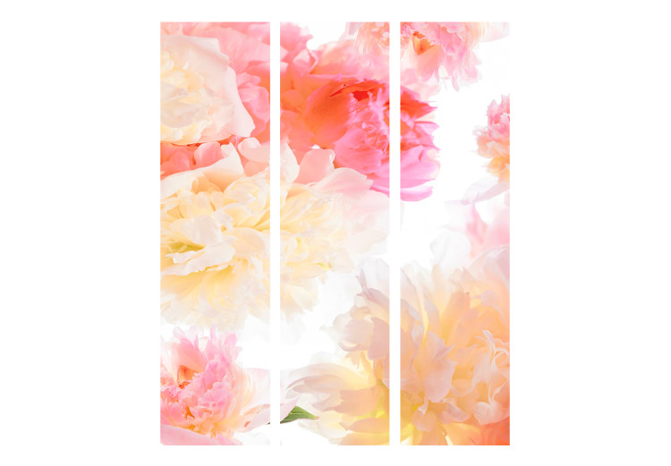 Room Divider Screen Pastel Peonies - bouquet of pink and yellow flowers on a white background 133783 additionalImage 3