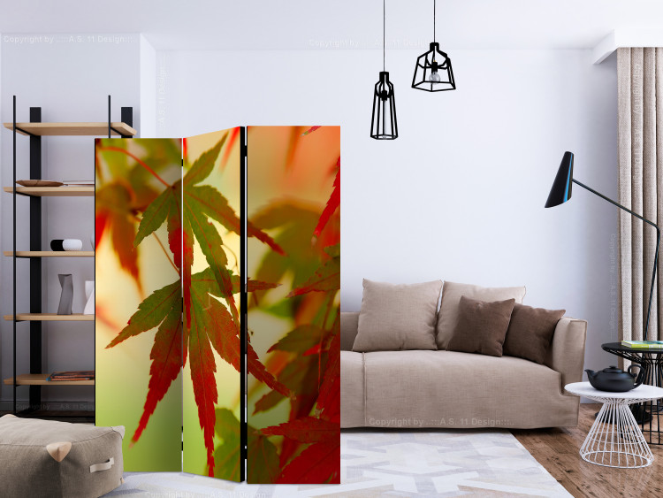 Folding Screen Colorful Leaves - tree with red-green leaves on a light background 133983 additionalImage 4