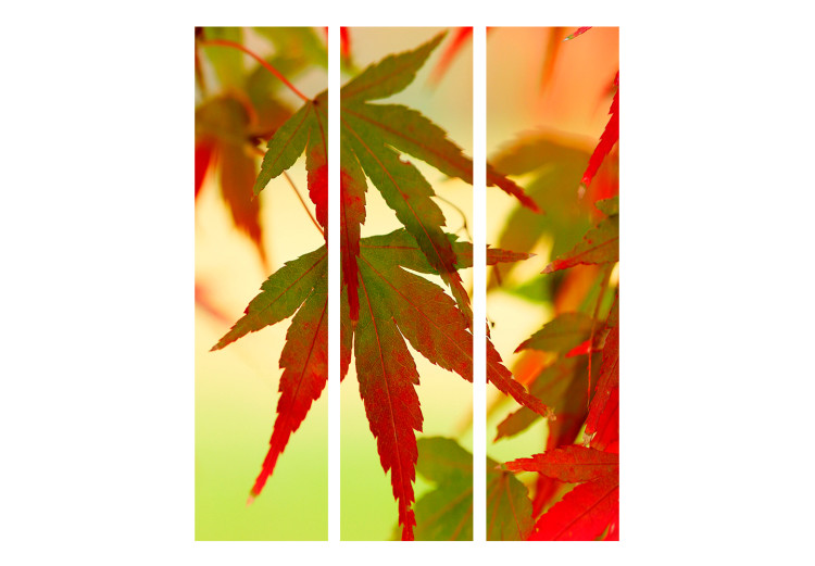 Folding Screen Colorful Leaves - tree with red-green leaves on a light background 133983 additionalImage 3