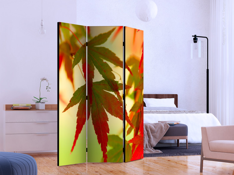 Folding Screen Colorful Leaves - tree with red-green leaves on a light background 133983 additionalImage 2