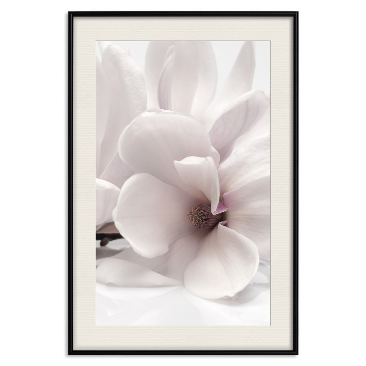 Wall Poster Blooming Light - floral composition of a white flower on a bright background 134983 additionalImage 19