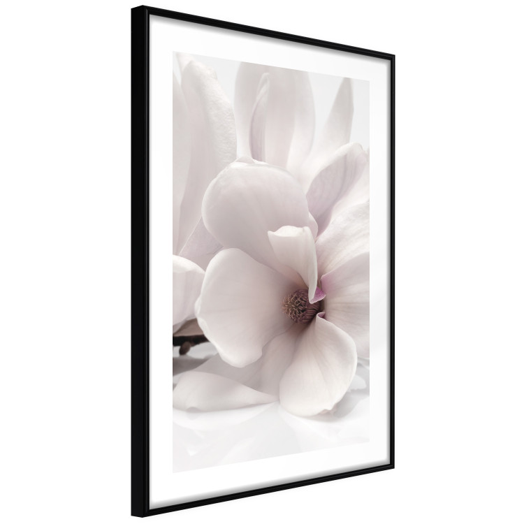 Wall Poster Blooming Light - floral composition of a white flower on a bright background 134983 additionalImage 8