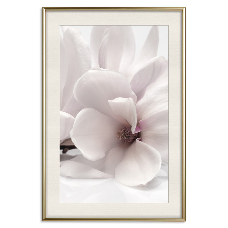 Wall Poster Blooming Light - floral composition of a white flower on a bright background 134983 additionalImage 20
