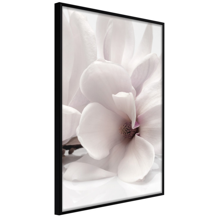 Wall Poster Blooming Light - floral composition of a white flower on a bright background 134983 additionalImage 11