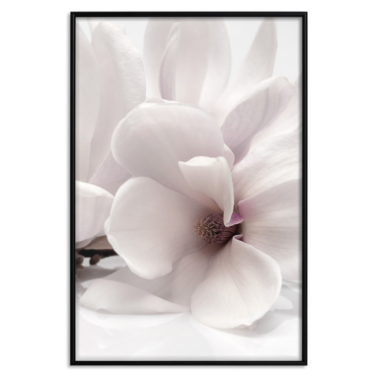 Wall Poster Blooming Light - floral composition of a white flower on a bright background 134983 additionalImage 16