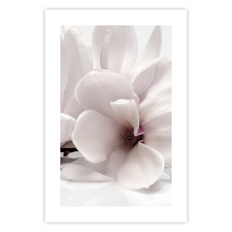 Wall Poster Blooming Light - floral composition of a white flower on a bright background 134983 additionalImage 25
